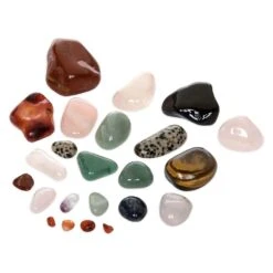 Disney Hobby Rock Tumbler – National Geographic -Toys Store 6103105633212 3